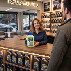 LIMPADOR DE PARA-BRISAS RAVENOL VERÃO
