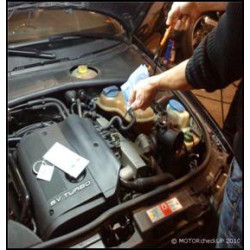 MOTOR CHECKUP